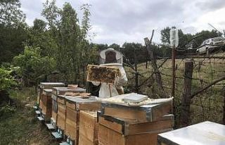 Kırklareli’de kadınlar için arıcılık kursu...