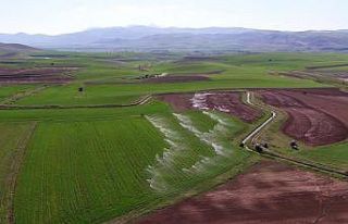 “Kırsal Kalkınma Hibe Desteği” başvuruları...