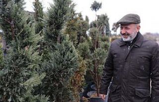 Kocasinan’da herkesin dikili bir ağacı olacak