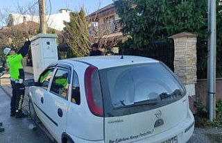 Kontrolden çıkan otomobil, şebeke kutusuna çarptı:...