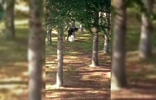 Köpeği kemerle döven şahıs yakalandı