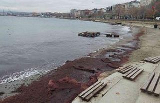 Lodos sahili kırmızıya boyadı