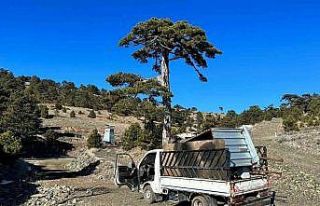 Maden ocağından hırsızlığa jandarmadan suçüstü