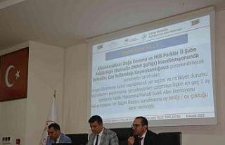 ‘Mahalli Sulak Alan Komisyonu’ yangın gündemi...