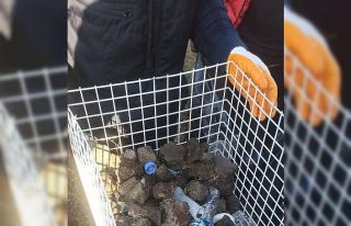 Mamamatiklerden plastik atık yerine taş parçaları...