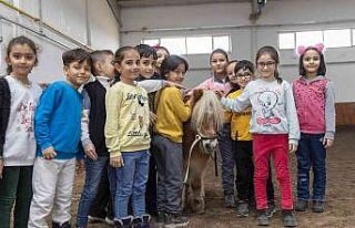 Manej alanı ve atçılık koordinatörlüğü hizmetini...