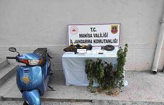 Manisa’da jandarma hem esrar hem de tarihi eser...