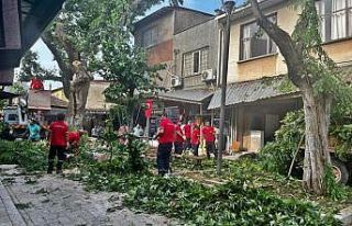 Manisa’ya kuvvetli rüzgar ve fırtına uyarısı