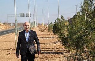 Mardin’de 2 bin ağaç ve fidan daha toprakla buluştu