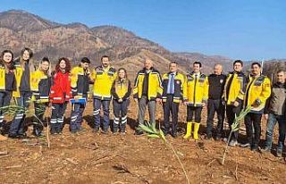 Marmaris’te sağlık çalışanları bin 120 fidanı...