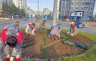 Melikgazi’nin Kavşakları Çiçeklerle Renklendi