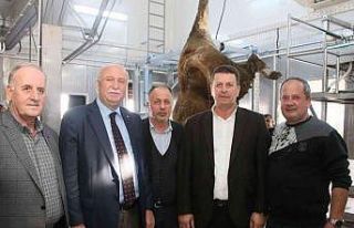 Mezbaha ve Hayvan Borsası Projesi’nde ilk kesim