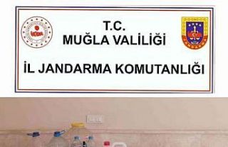 Milas’ta jandarmadan tarihi eser kaçakçılığı...