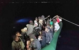 Muğla’da 88 düzensiz göçmen kurtarıldı