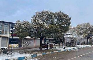 Muradiye’de kar yağışı