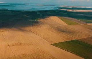 Nesli tükenmekte olan Toy kuşu dron ile görüntülendi