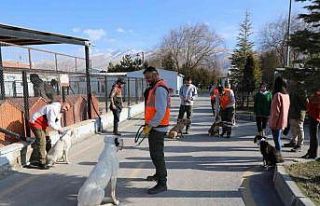Niğde’de tehlikeli köpeklere uyum eğitimi veriliyor