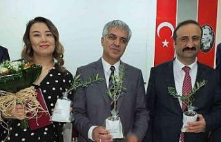 Nikahta şeker yerine zeytin fidanı dağıttılar