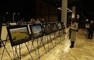 O yarışmaya 27 ilden 564 fotoğrafçı katıldı