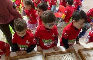 Öğrenciler böcek korkularını yendi