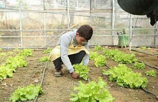 Öğrenciler serada yetiştirdikleri ürünlerden...