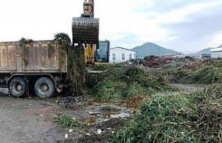 Ortaca’da yeşil alanlarda bakım çalışması