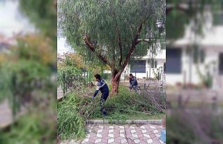 Ortaca’da ‘Yeşil’ seferberlik