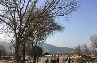 Osmaneli Belediyesi yatırımları devam ediyor