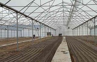 Osmaneli’nde “Sera Tesisi” projesi tamamlandı