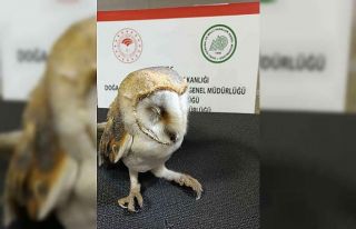 Otomobil çarpması sonucu ağır yaralanan peçeli...