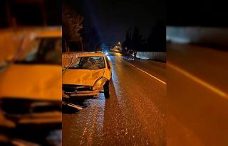 Otomobilin çarptığı at yaralandı