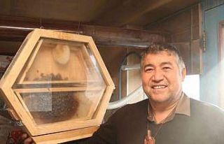 (ÖZEL) Arıları gözlemlemek için ‘Arıvaryum’...