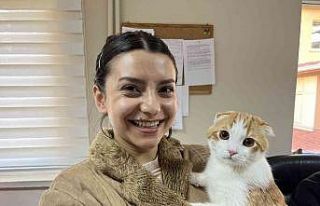 (ÖZEL) Evcil hayvanlar için çip yoğunluğu