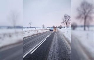 Polonya’da geyikler buzlanmaya karşı dökülen...