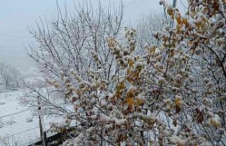 Posof vadisi beyaza büründü