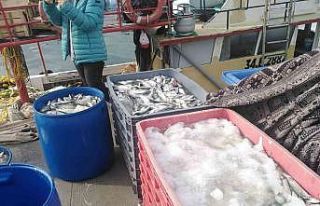 Sahil kenarlarında yasadışı ticari balık avcılığı...