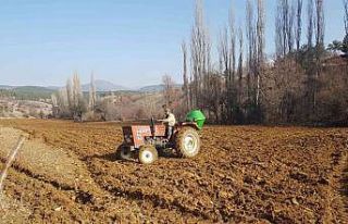 Şaphane’de tritikale demonstrasyonu için ekimler...