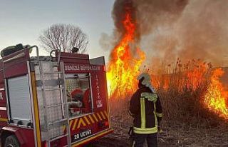 Sazlıklar alev alev yandı