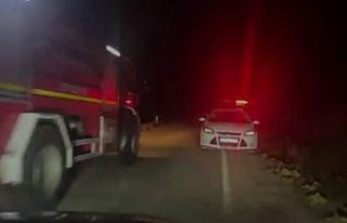 Sazlıklar alevlere teslim oldu