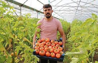 Şehir hayatını bırakıp köyünde sera kurdu