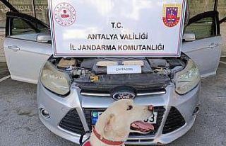 Şehirlerarası uyuşturucu trafiğine jandarma operasyonu