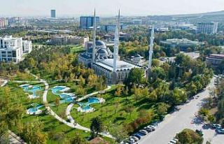 Selçuk Üniversitesi dünyanın en yeşil 431’inci...