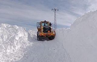 Şemdinli’de 3 metreyi bulan karda yol çalışması