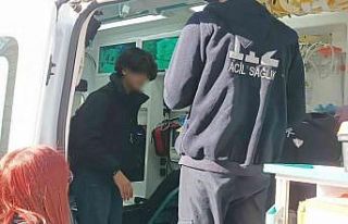 Sevmek istediği köpek tarafından ısırıldı