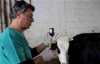 Seyhan Belediyesi’nden, üreticilere koruyucu hayvan...