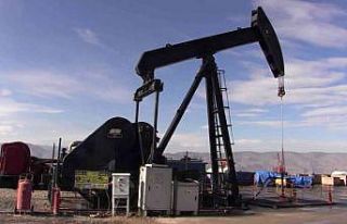 Siirt’te TPAO petrol arayacak