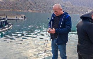 Siirt’ten ülke ekonomisine 100 milyon dolar katkı...