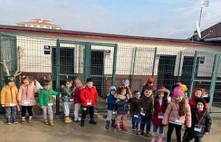 Sincan’daki hayvan Sevgi Bahçesi’ni 1410 öğrenci...