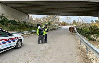 Sinop’ta “Reflektif Yelek Giy Görünür Ol Projesi"