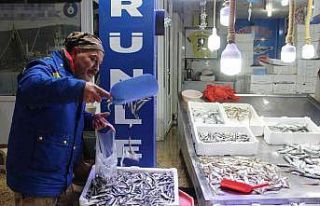 Sinop’ta sert hava koşulları balık tezgâhlarını...